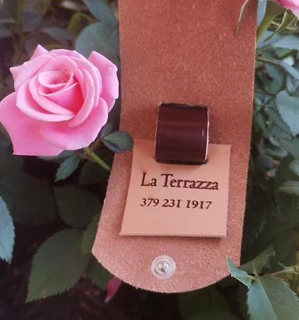 دومودوسولا B&B La Terrazza المظهر الخارجي الصورة