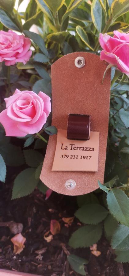دومودوسولا B&B La Terrazza المظهر الخارجي الصورة